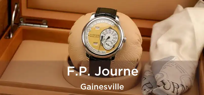  F.P. Journe Gainesville