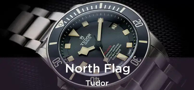  North Flag Tudor