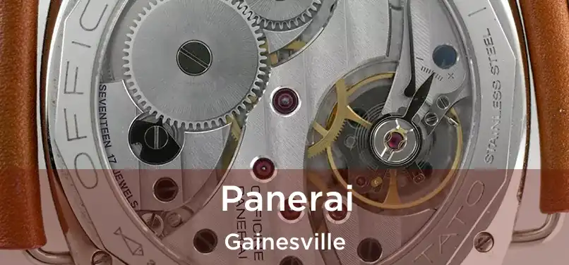  Panerai Gainesville