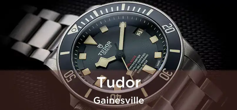  Tudor Gainesville